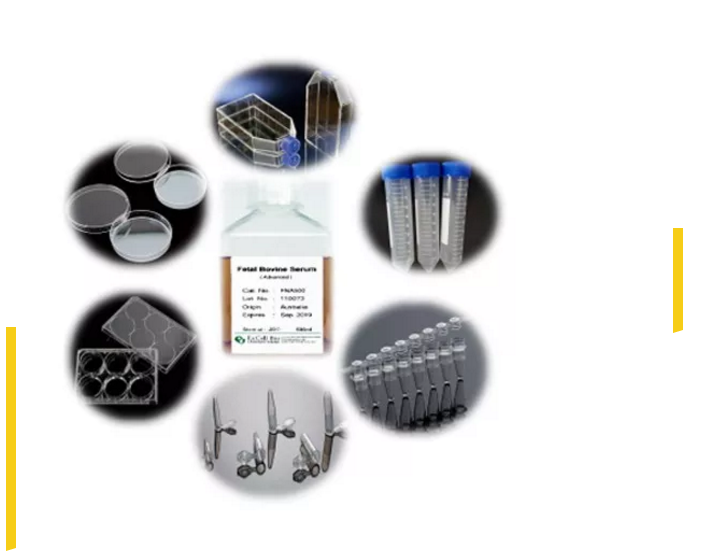 1537169356799435.png blob.png