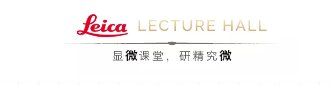 1575014893734366.png image.png